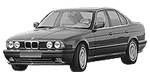 BMW E34 P130E Fault Code